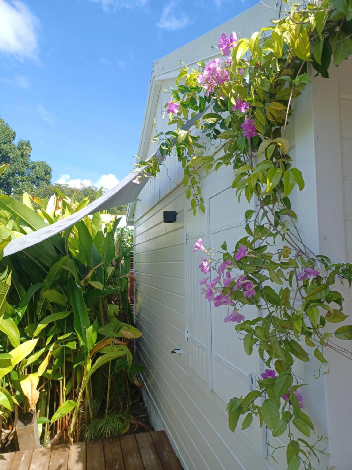 Charmant Bungalow Coco Sainte-Anne  Buitenkant foto