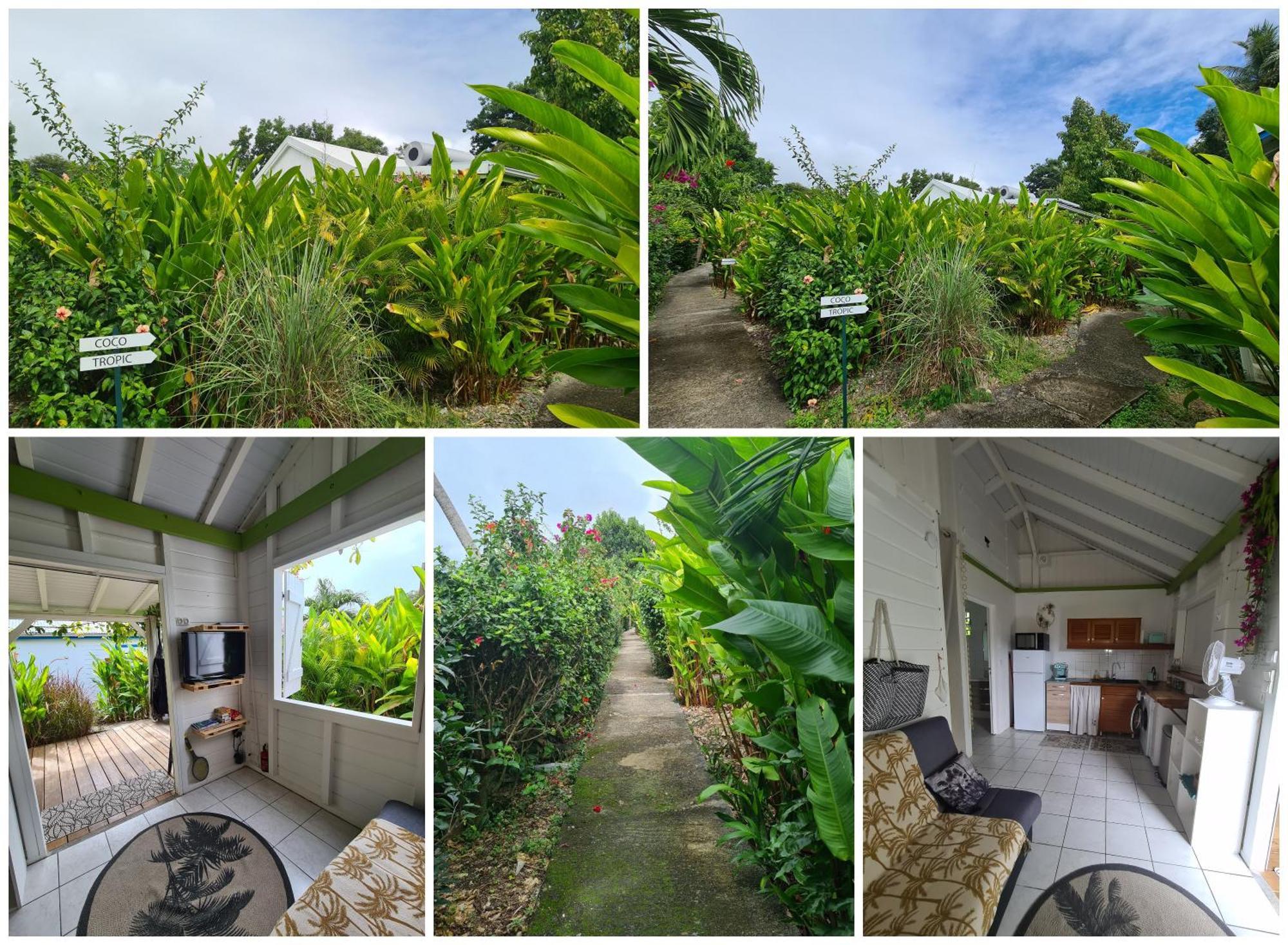 Charmant Bungalow Coco Sainte-Anne  Buitenkant foto